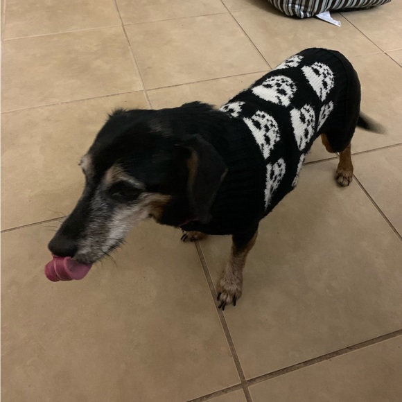 Meet your Poshers, Tracey and BeanieDoodle - Picture 8 of 15